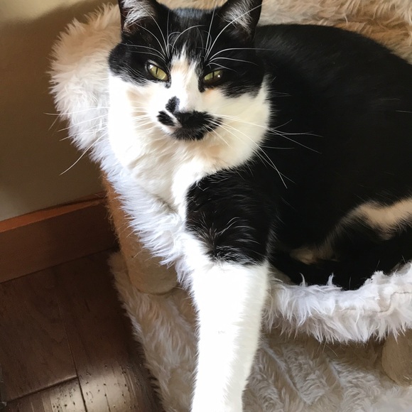 Meet your Posher, Kate - Picture 1 of 2